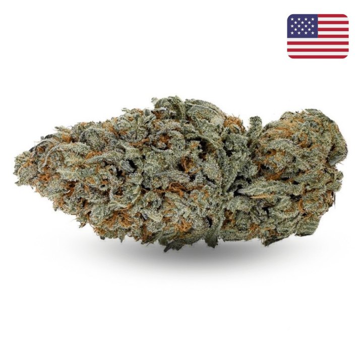 Sour Diesel CBD – Big Bud – Indoor Cali