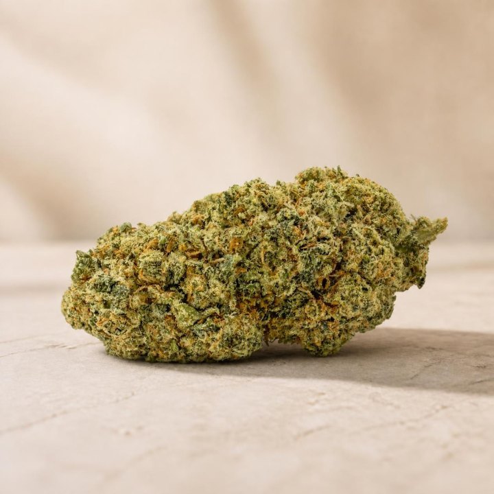 Amnesia Haze CBD — Big Bud indoor hydro | BuddySens
