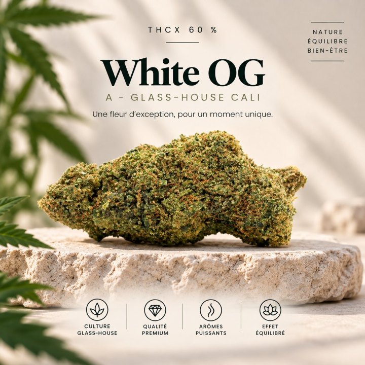 Sour Diesel CBD – Big Bud – Indoor Cali