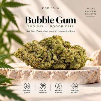 Sommités de Bubble Gum CBD, calibre Bud Mix, culture en intérieur