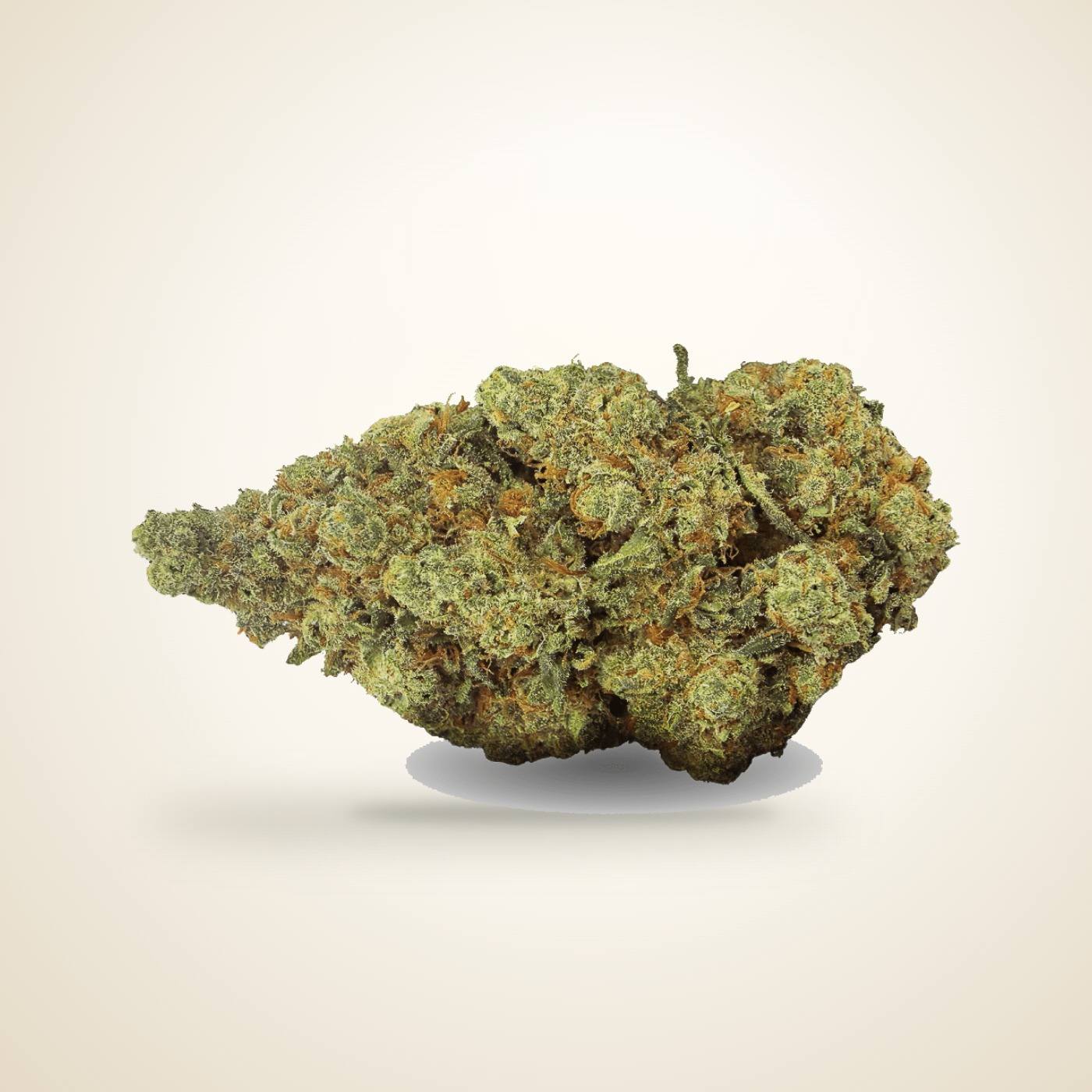 Sommité de CBD Amnesia Haze posée sur fond ivoire